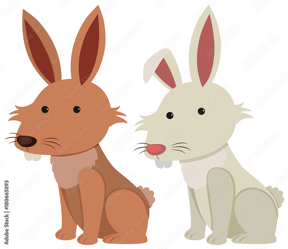 Brown and white bunnies on white background Brown and white bunnies on white background