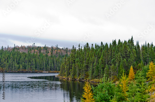 Northern Ontario Forest