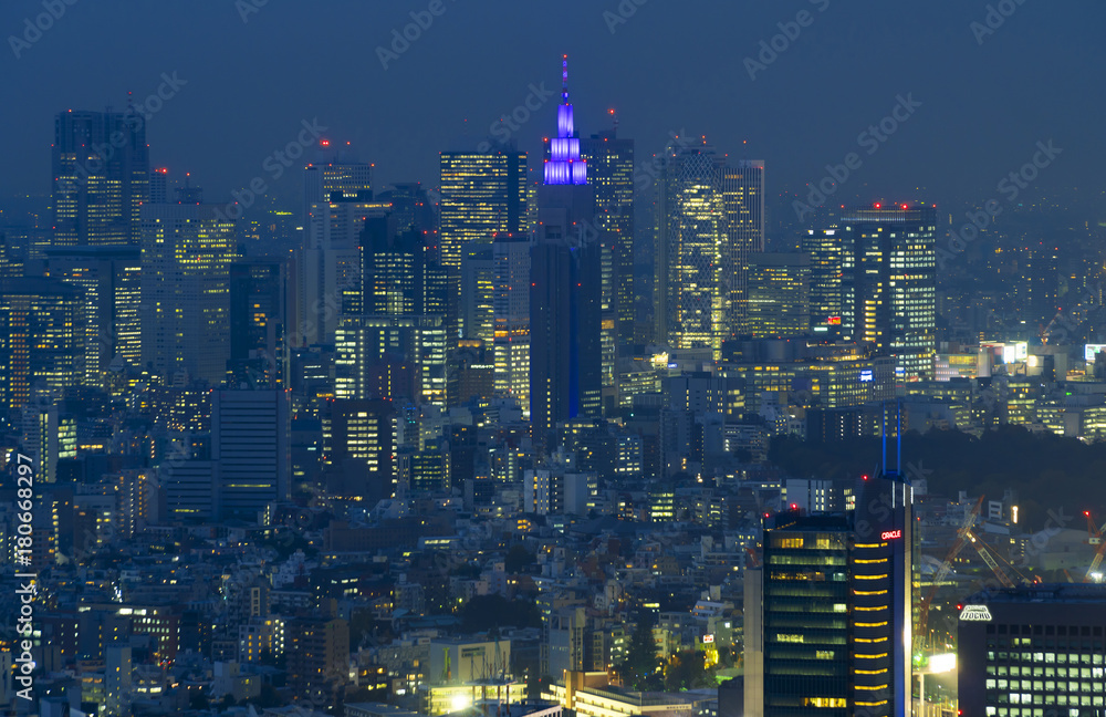 東京 新宿夜景 Stock Photo Adobe Stock