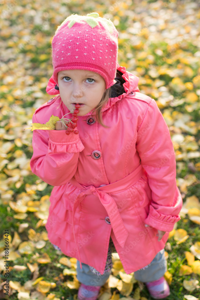 girl collect autumn leaves