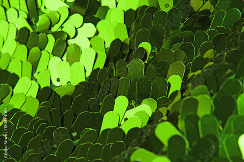 Green sequins as background. Sequin backdrop.