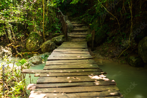 wooden bridge among beautiful nature with lake and many green tree on both sides. this image for forest  natural  travel  scenery  lifestyle  landscape concept