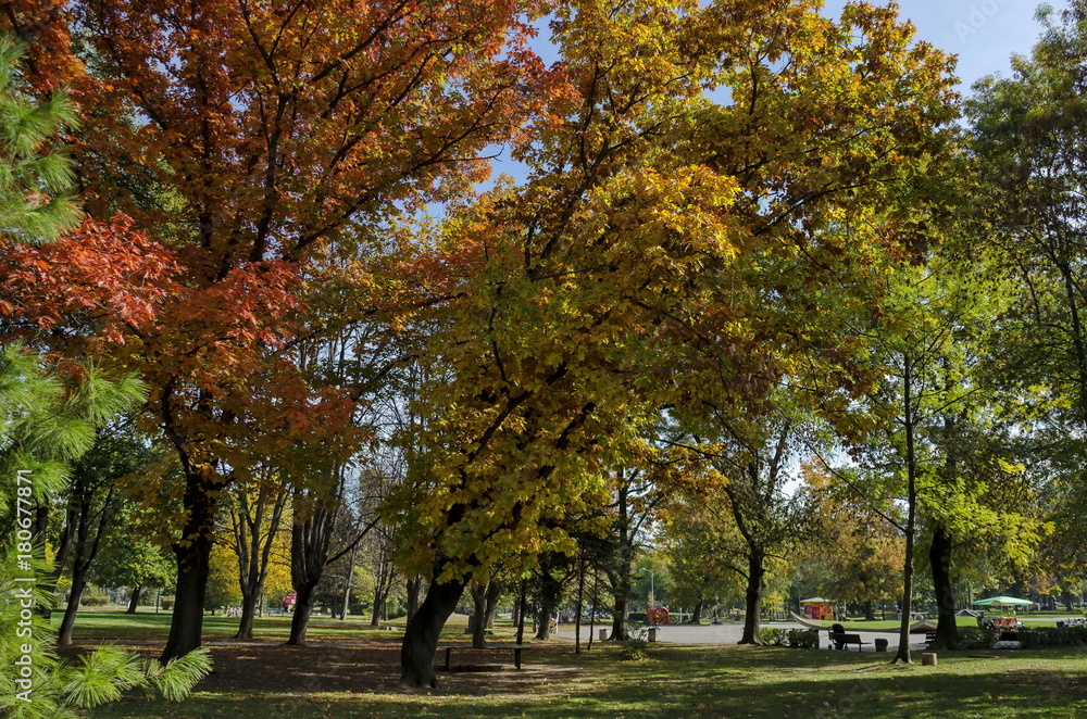 Naklejka premium Popular Zaimov park for rest and walk with autumnal yellow and red foliage, Oborishte district, Sofia, Bulgaria