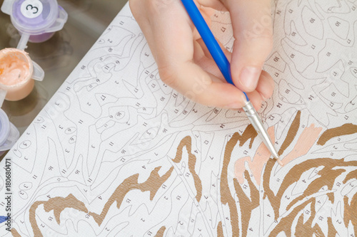 Young girl's hand draws with a brush painting by numbers on canvas. The concept of a hobby. photo