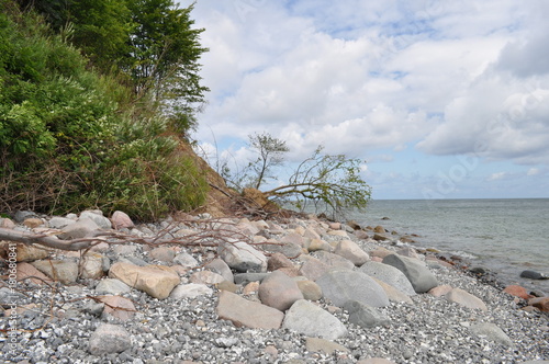 Kreidefelsen in der Stubbenkammer auf Rügen photo