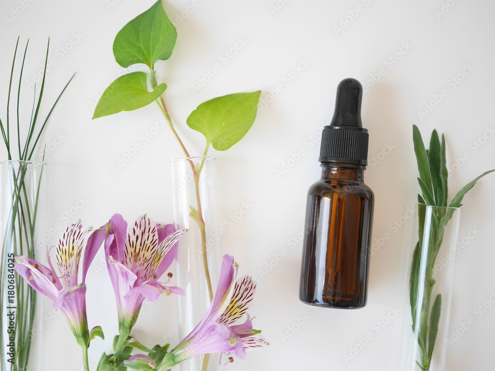natural skincare bottle container and organic green leaf , flow natural skincare bottle container and organic green leaf , flow