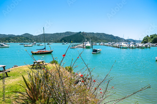 Whangaroa Harbour and marina, Far North, Northland, New Zealand NZ - boats and grassy area for picnic bench