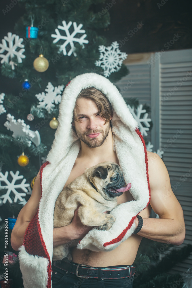Dog in hand of man at decoration. Dog in hand of man at decoration.