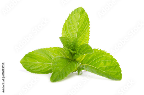 green mint  isolated on white background