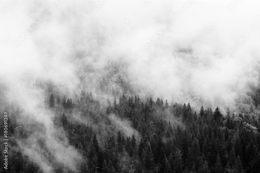 Fototapeta premium Letni krajobraz górski w czerni i bieli. Las pod chmurami po deszczu. Podróżowanie w Karpatach na Ukrainie