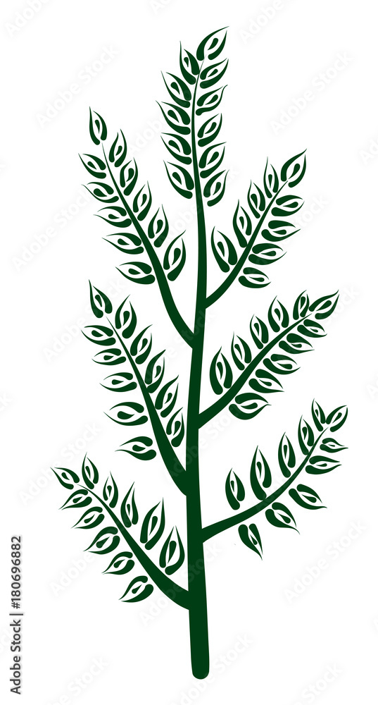Illustration of a young tree Illustration of a young tree
