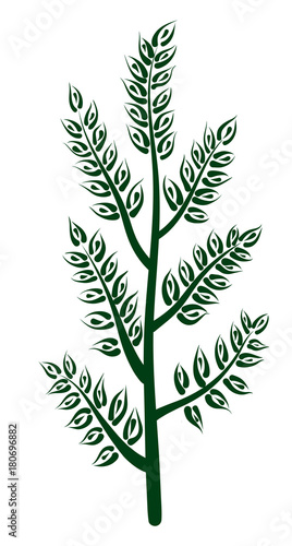 Illustration of a young tree