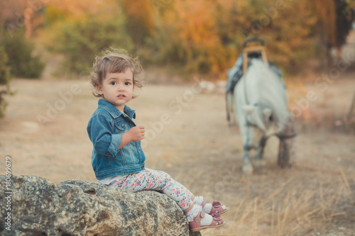 Cute little baby girl sitting on stone in central park with white horse on back ground.Child wearing blue jeans jacket and colourful tiny pants photo