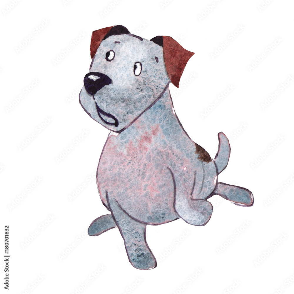 Obraz premium JackRussel terrier dog puppy hand drawing watercolor