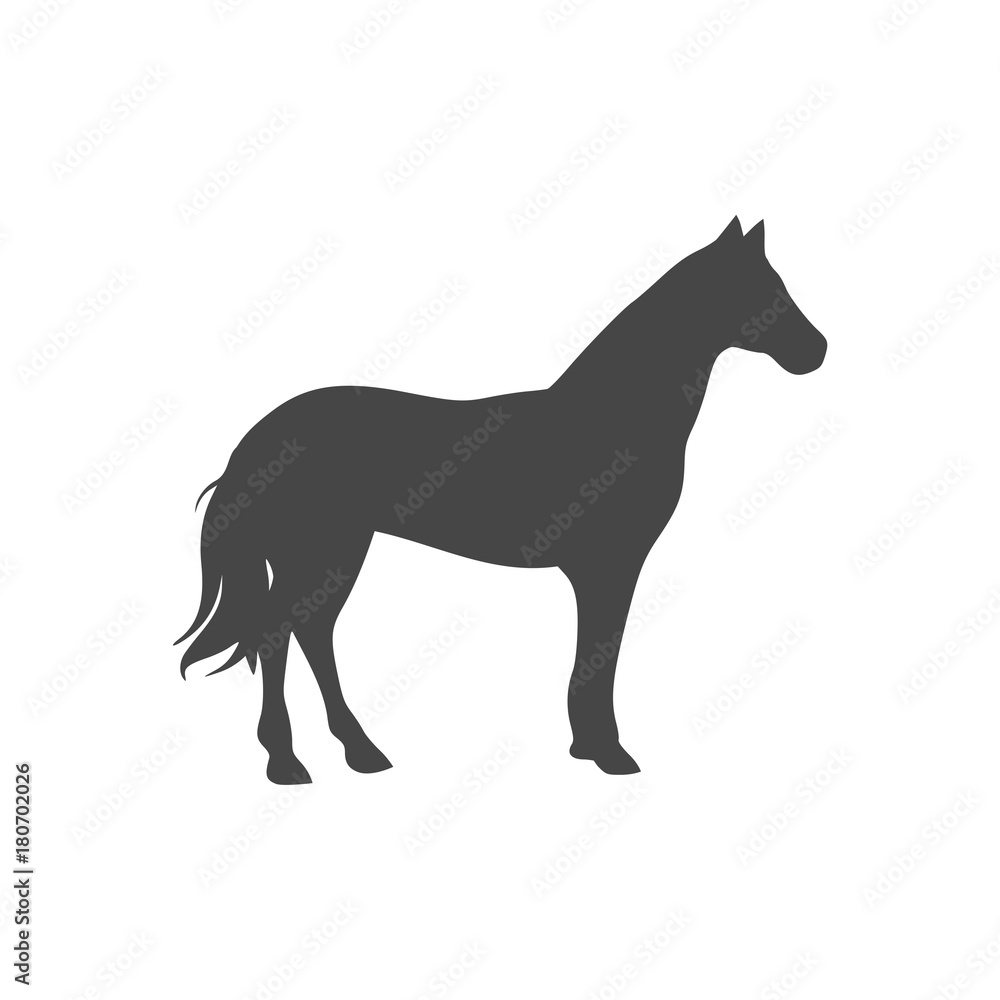 Horse silhouette - Vector - Illustration 