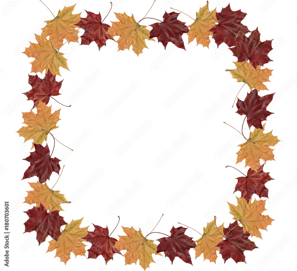 Square Leaves autumn frame with red and yellow maple leaves Square Leaves autumn frame with red and yellow maple leaves