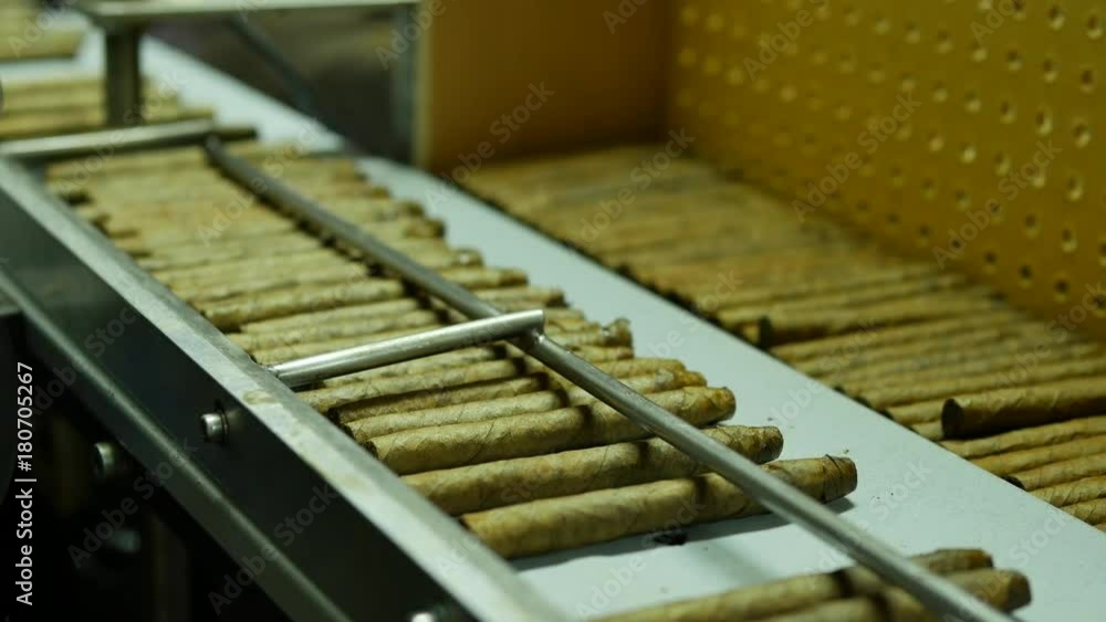 Cigar rolling machine inside a cigar factory producing homemade cigars – 4K Cigar rolling machine inside a cigar factory producing homemade cigars – 4K