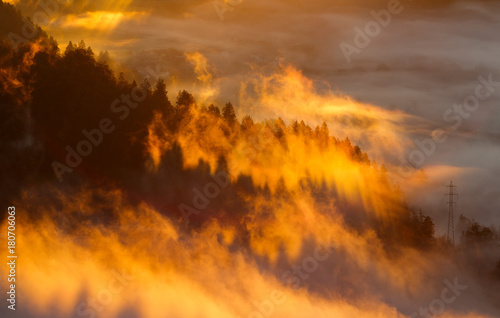 Early morning fog in Bled with yellow sun rays