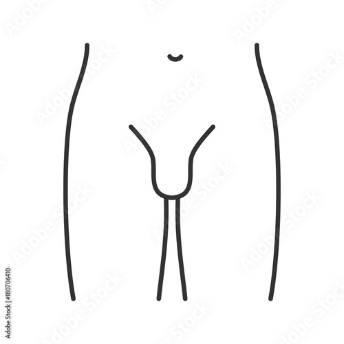 Male groin linear icon