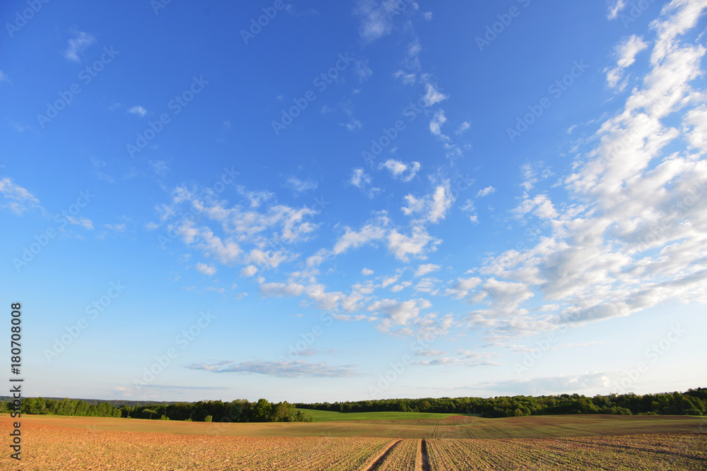 sky , clouds and field