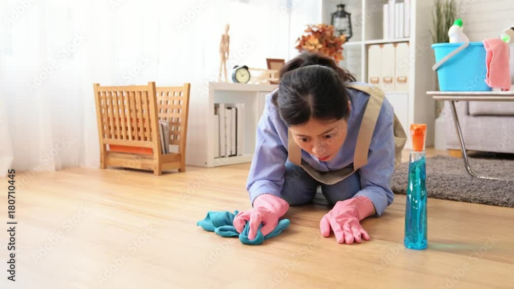 Housewife at home for end of year cleaning Housewife at home for end of year cleaning