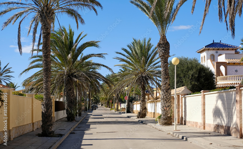 Empty palm-lined street of Cabo Roig. Spain