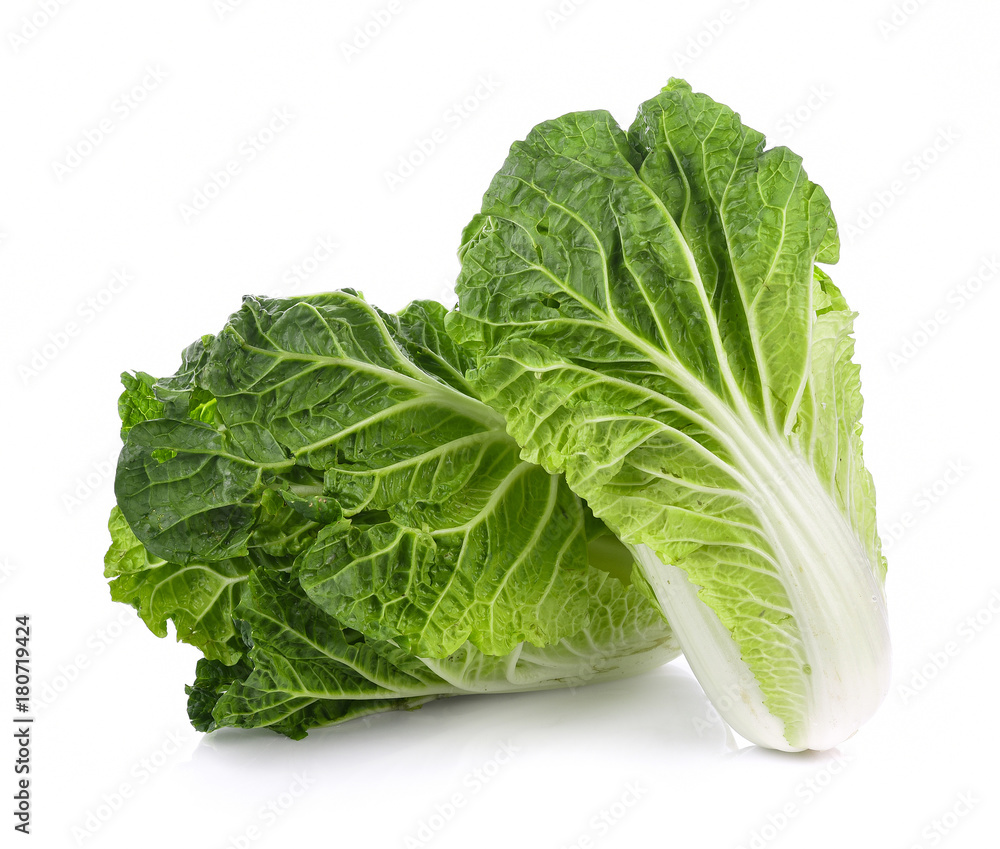 fresh chinese cabbage on a white background fresh chinese cabbage on a white background