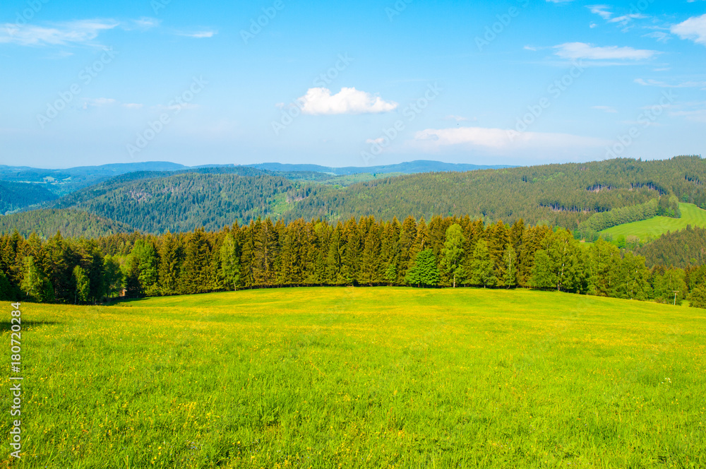 Beautiful summer mountain landscape with lush green meadows and forest and blue sky with white clouds.