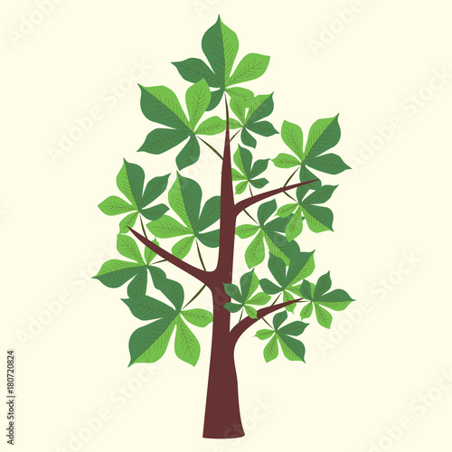 Vector Illustration of chestnut tree with two color leaves on light yellow background. 