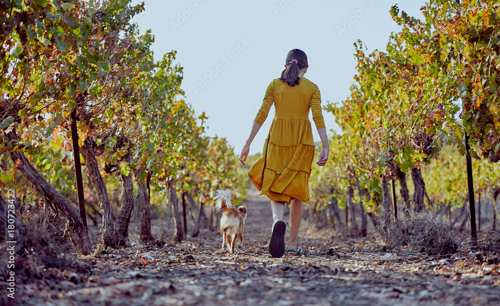 Obraz premium girl in yellow dress with dog in vineyard