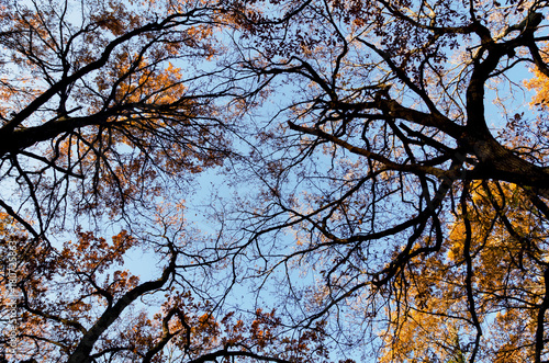 Osservando il cielo