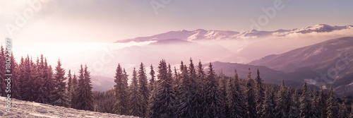 Fototapeta Naklejka Na Ścianę i Meble -  Winter Nature snowy landscape outdoor background.