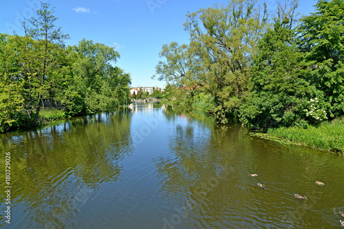 The Paslenka River in summer sunny day. Braniewo, Poland