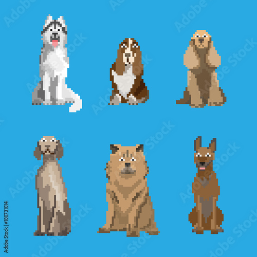 Pixelated dogs