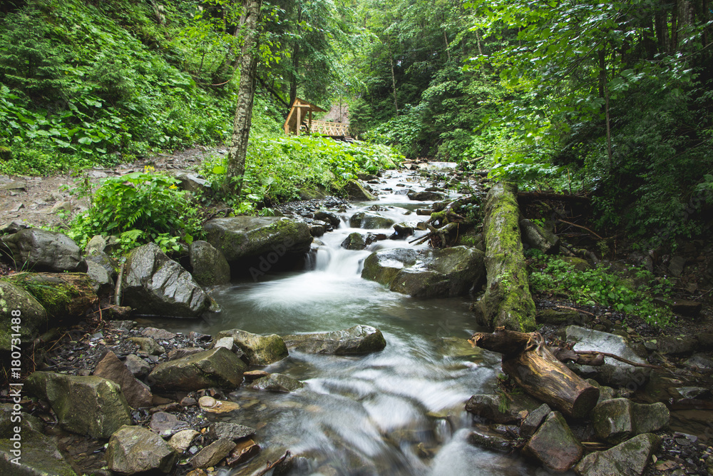 Landscapes of the mountains and Mountain river and natural green forest. Carpathian Mountains. The mountain river. Carpathian Mountains. Europe. Ukraine.