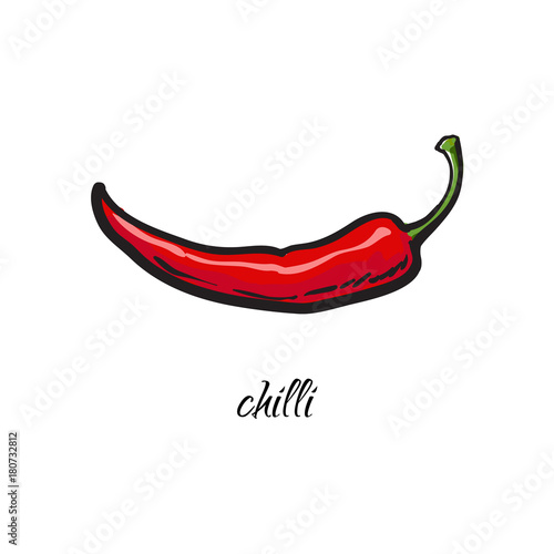 Hand drawn whole red chili pepper with caption, sketch style vector illustration on white background. Realistic hand drawing of whole ripe red chili pepper with legend