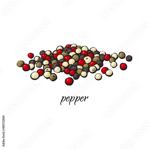 Pile of black, red and green pepper, peppercorns with caption, sketch style vector illustration isolated on white background. Hand drawn pepper, black, red, green and white