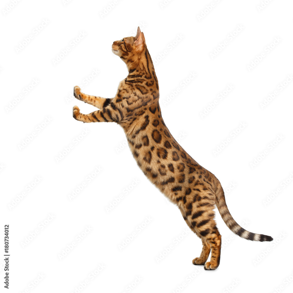 My Image 23