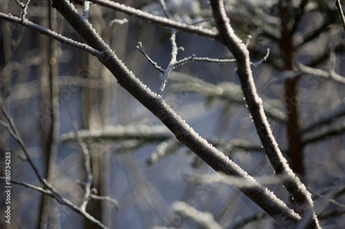 Wallpaper Mural Winterlandschaft Torontodigital.ca