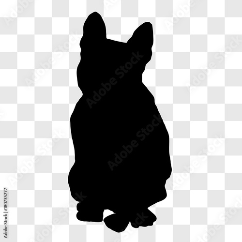 Silhouette of a seated male French bulldog seen from the front in black, on a transparent background.