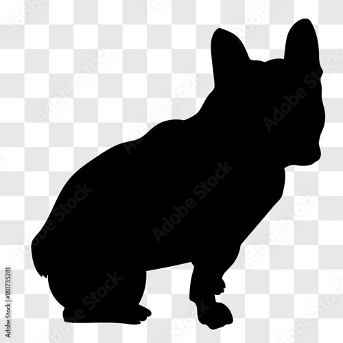 Silhouette of a seated male French bulldog seen from the right side in black on a transparent background.