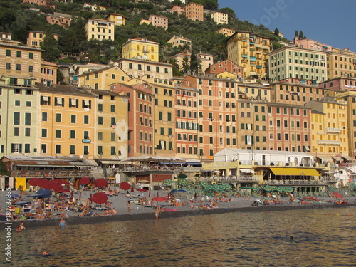 Beautiful harbor, small houses in the background