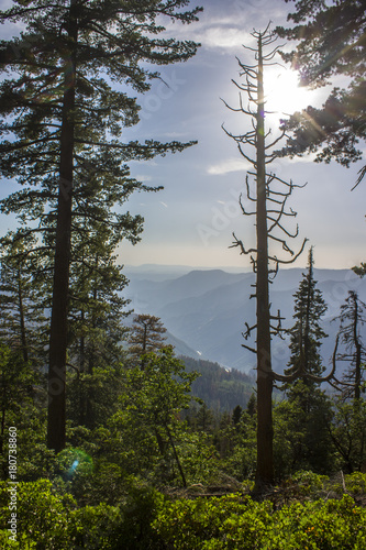 Views of Yosemite Valley from the Washburn Point observation area. A World Heritage Site since 1984 © J. Ossorio Castillo
