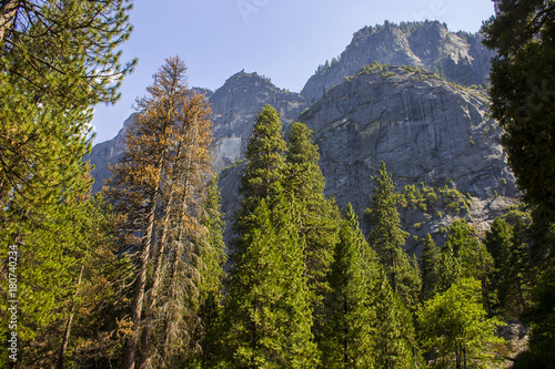 Views of Yosemite Valley in Yosemite National park, Eastern California