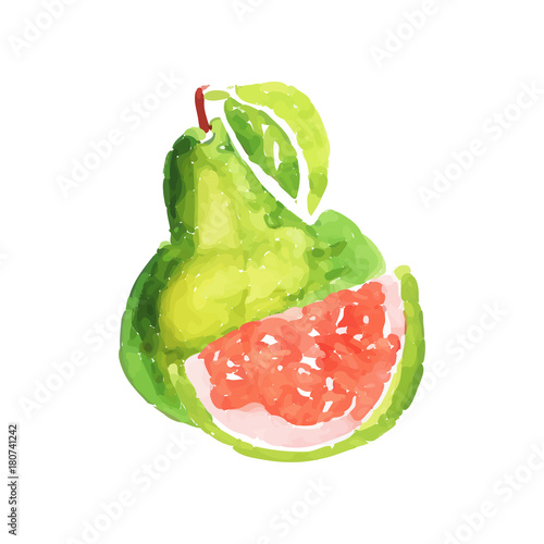 Juicy ripe guava fruit watercolor hand painting vector Illustration