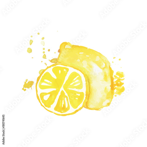Juicy ripe lemon fruit watercolor hand painting vector Illustration
