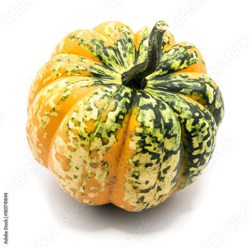 One whole colorful pumpkin (spotty  dark green yellow) isolated on white background. photo