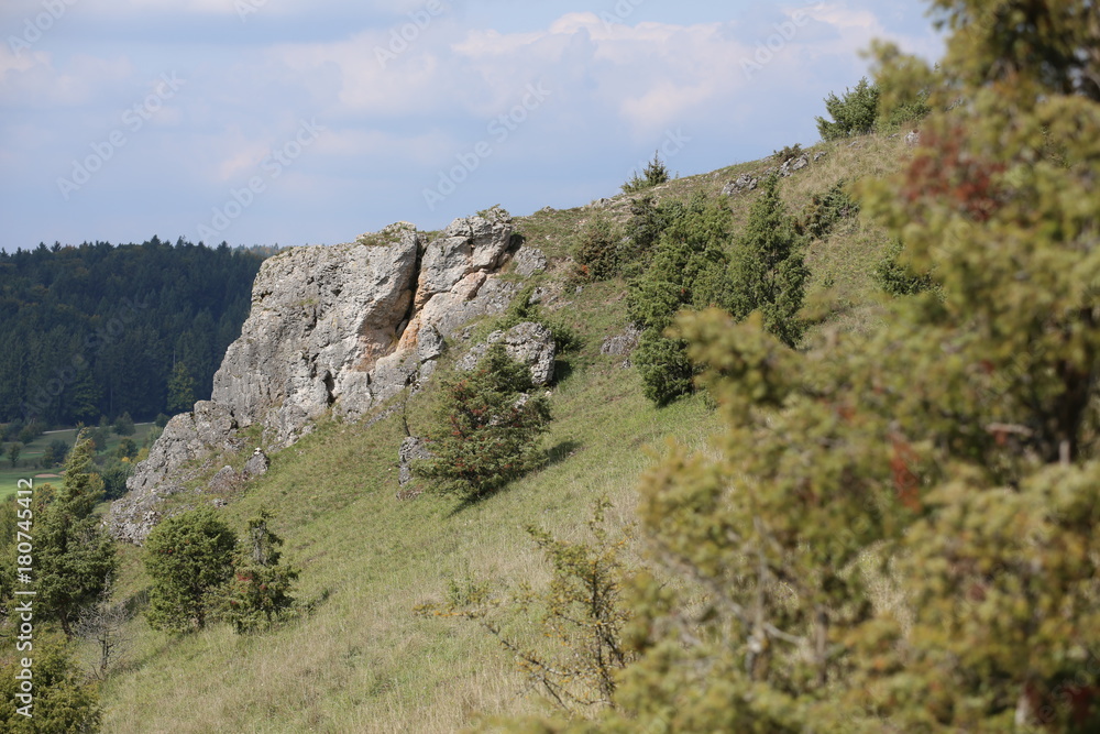 Slope with rock cliffs at Muehlberg near Unterwiesenacker, Upper Palatinate, Germany