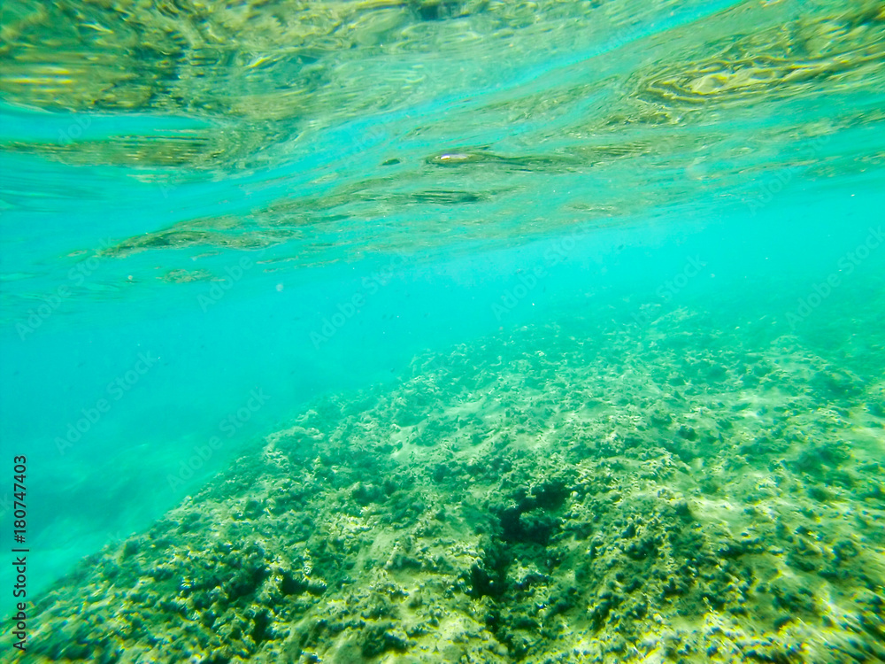 Fototapeta premium Bottom of clear blueSicilian sea