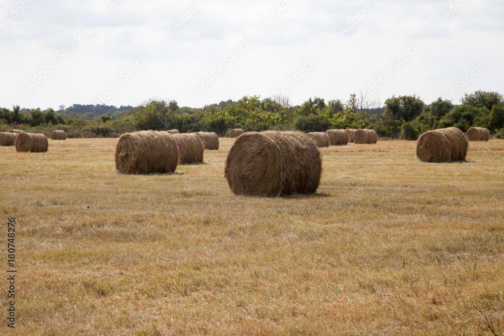 Meule de foin dans un champ